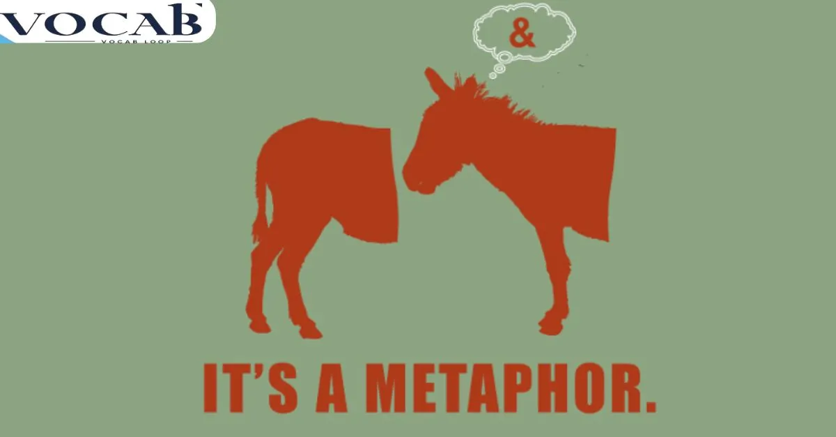 What Is a Metaphor