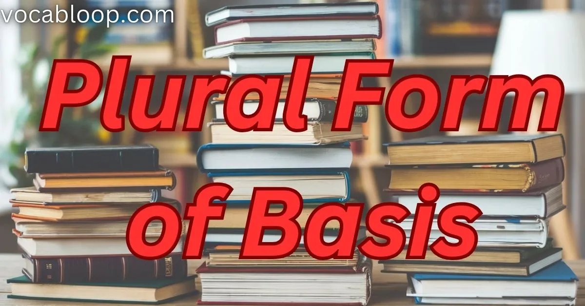 Plural Form of Basis Which Is Correct